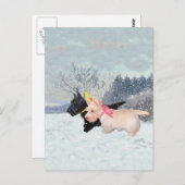 スコットランドの子犬 ポストカード (正面/裏面)