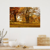 スコットランドの素晴らしい古いオークの木 ポスター (キッチン)