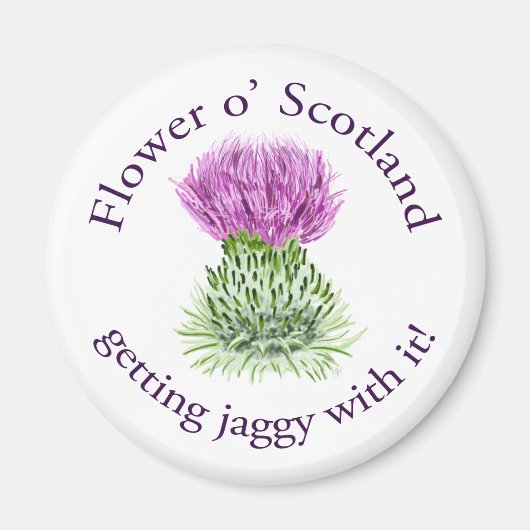 スコットランドの花 – それとジャギーを取得！ マグネット (正面)
