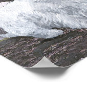 スコットランドの西 ポスター (角)