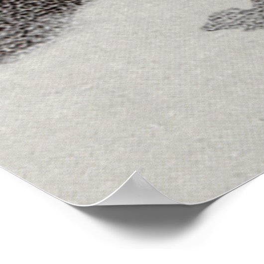 スコットランドの超現実的な冬の夜 ポスター (角)