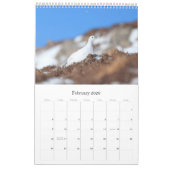 スコットランドの野性生物、野生および自由 カレンダー (2月 2026)