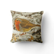 スコットランドの雪のクリスマスロビン