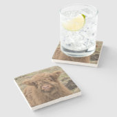 スコットランドの高地のベビー牛写真 ストーンコースター (横)