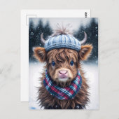 スコットランドの高地の牛のかわいい毛深い牛おもしろいの牛 ポストカード (正面/裏面)