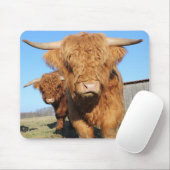 スコットランドの高地の牛の近くに マウスパッド (マウス)