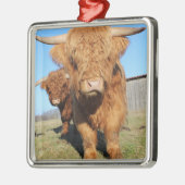 スコットランドの高地の牛の近くに メタルオーナメント (左)