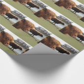 スコットランドの高地の牛~の包装紙 ラッピングペーパー (角)