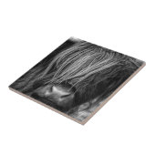 スコットランドの高地の牛-スコットランド タイル (側面)