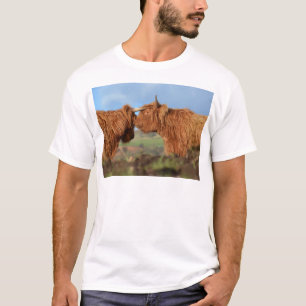 スコットランドの高地の牛 Tシャツ