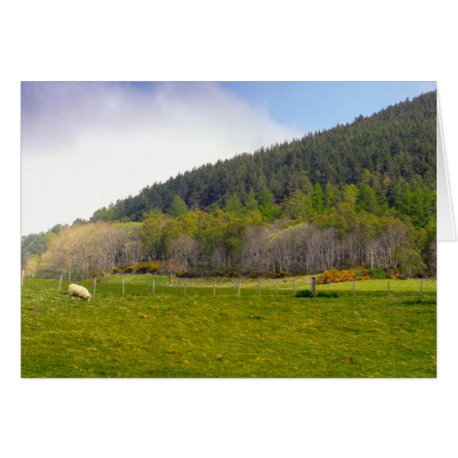 スコットランドの高地景観 (正面横)