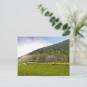 スコットランドの高地景観 ポストカード (スタンド正面)