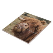 スコットランドの高地牛タイル タイル (側面)