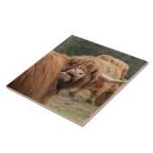 スコットランドの高地牛タイル タイル (側面)