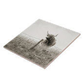 スコットランドの高地牛タイル タイル (側面)