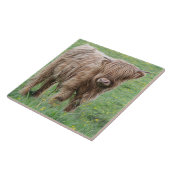 スコットランドの高地牛タイル タイル (側面)