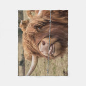 スコットランドの高地牛写真毛布 フリースブランケット (正面)