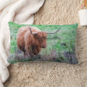 スコットランドの高地牛枕 ランバークッション (ブランケット)