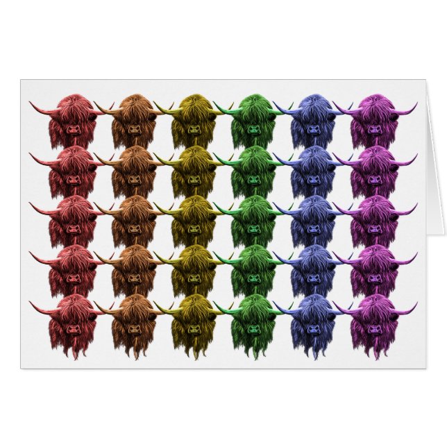 スコットランドの高地牛 (正面横)