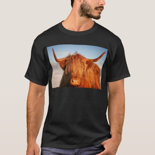 スコットランドの高地牛-スコットランド Tシャツ (正面)
