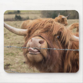 スコットランドの高地牛 マウスパッド