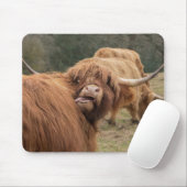 スコットランドの高地牛 マウスパッド (マウス)
