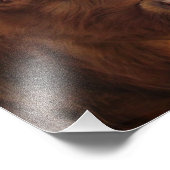 スコットランドの高地牛～写真 フォトプリント            (角)