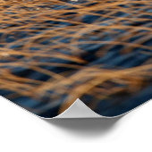 スコットランドの高地、アッシント・スイルベン ポスター (角)