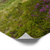 スコットランドのPortknockie、Bow Fidle Rock ポスター (角)