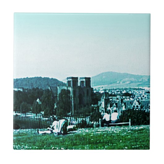 スコットランドインバーネスの城の芸術のスナップ38784のjGibney タイル (正面)