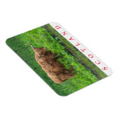 スコットランドカウウ冷蔵庫用マグネット マグネット (右側)