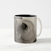 スコットランドキャットコーヒーマグ ツートーンマグカップ (正面右)