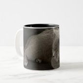 スコットランドキャットコーヒーマグ ツートーンマグカップ (正面左)