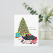 スコットランドテリアのクリスマスの昼寝 シーズンポストカード (スタンド正面)