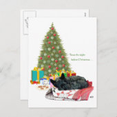 スコットランドテリアのクリスマスの昼寝 シーズンポストカード (正面/裏面)