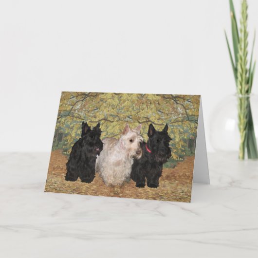 スコットランドテリアのグリーティングカード カード (正面)