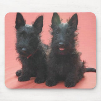 スコットランドテリアの子犬のmousepad マウスパッド