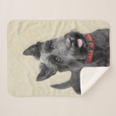 スコットランドテリアの絵画-かわいい元の犬の芸術 シェルパブランケット (正面(横))