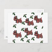 スコットランドテリア ポストカード (正面/裏面)