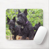 スコットランドテリア マウスパッド (マウス)