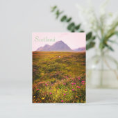 スコットランドポストカード ポストカード (スタンド正面)