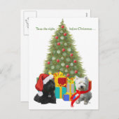 スコットランド人とウェスティー・メリークリスマス シーズンポストカード (正面/裏面)