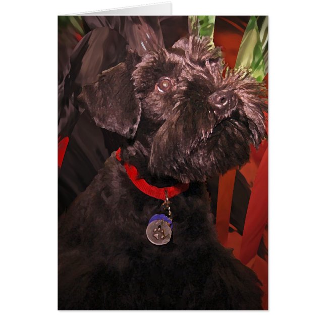 スコットランド人に私をビーム (正面)