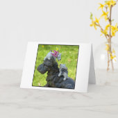 スコットランド人の出入り口に粘土のスコットランド カード (黄色い花)