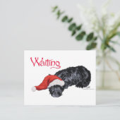 スコットランド人の小さな犬がサンタを待つ シーズンポストカード (スタンド正面)