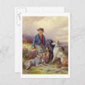 スコットランド人の少年で、ハイランドのランドスカに狼の犬がいる ポストカード (正面/裏面)