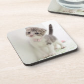 スコットランド人の折目の子ネコ コースター (左側)