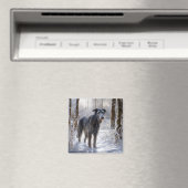 スコットランド人の鹿が雪のクリスマスを過ごした マグネット (インサイチュ (食洗機))