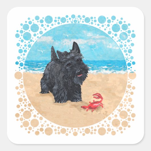 スコットランド人リトル・スコットランド人がビーチでカニを見つける スクエアシール (正面)