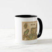 スコットランド北部 マグカップ (正面右)